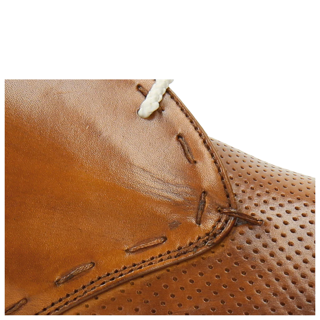 Felix 2 - Image 7